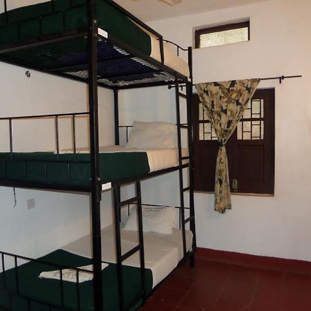 Kilimanjaro Backpackers Hotel Moshi Extérieur photo